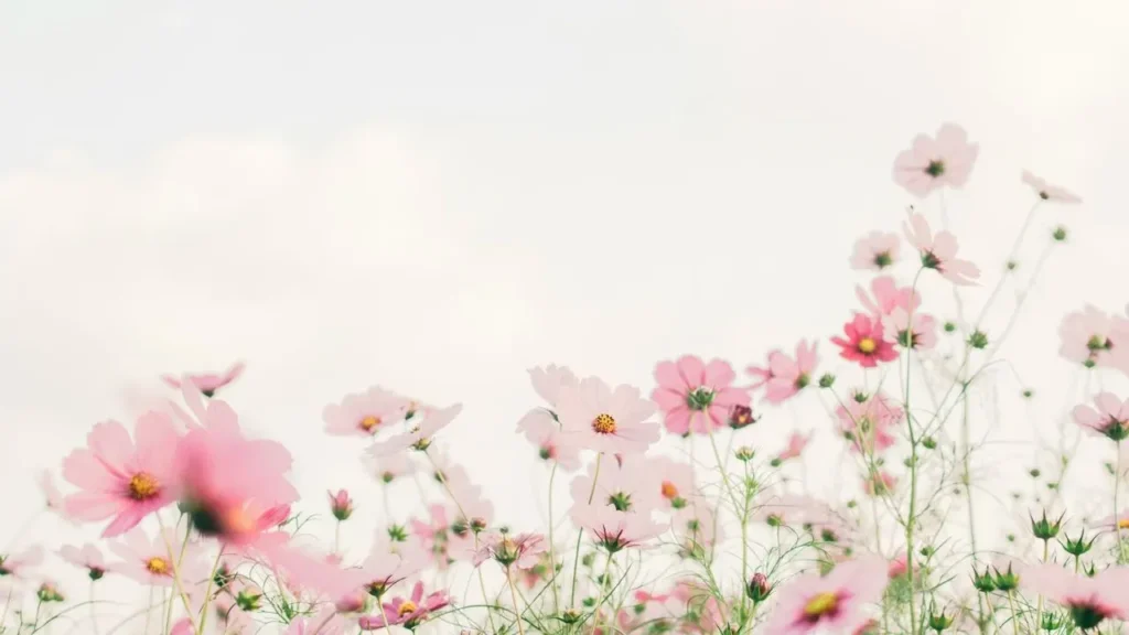 Minnesota Garden Bursts With Late Spring Color - Featured image