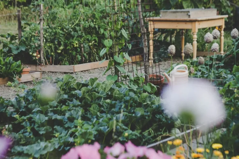 How to Design a Beautiful Matrix Planting That Naturally Outcompetes Weeds - Featured image