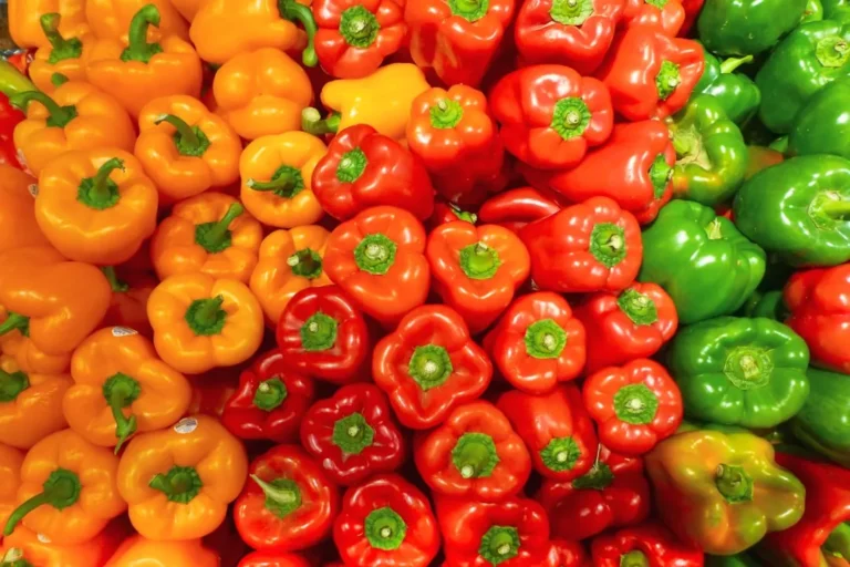The 15-Second Watering Trick That Doubled My Pepper Harvest (Zero Extra Cost) - Featured image