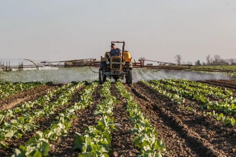 Allelopathy: The Secret Chemical Warfare Happening Beneath Your Garden Soil - Featured image