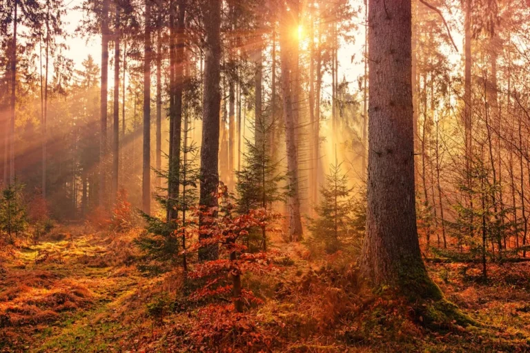 The Best Autumn Foliage Hikes in the US You Need to Book Now - Featured image