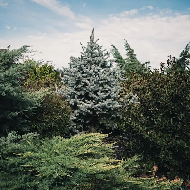 The Art of the Layered Garden: Combining Trees, Shrubs, and Perennials Perfectly - Featured image