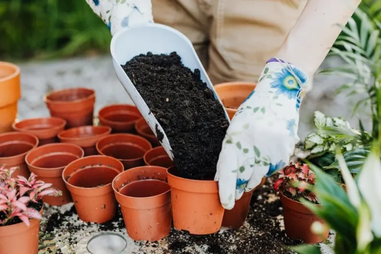 5 Types of Organic Fertilizer You're Using Wrong (And How It's Burning Your Roots) - Featured image