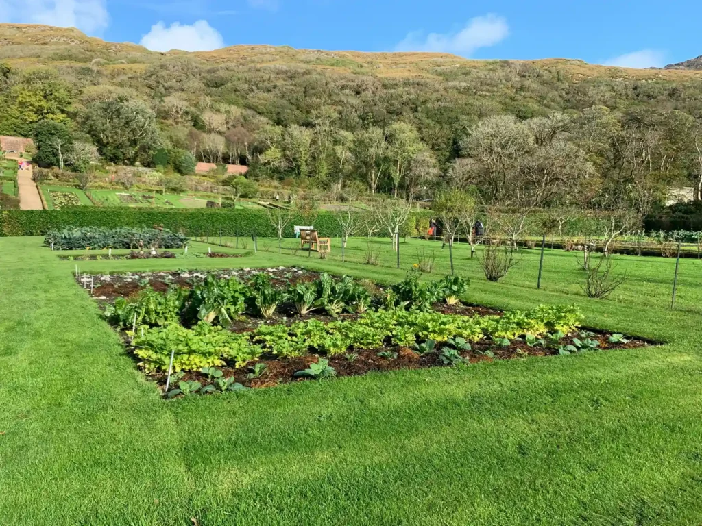 Walled Gardens Deliver Structure in Any Garden Size - Featured image