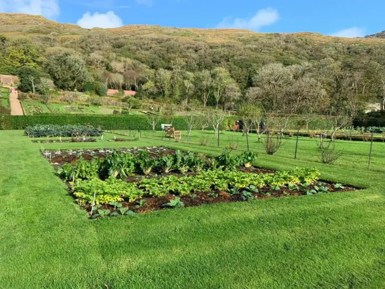 Walled Gardens Deliver Structure in Any Garden Size - Featured image