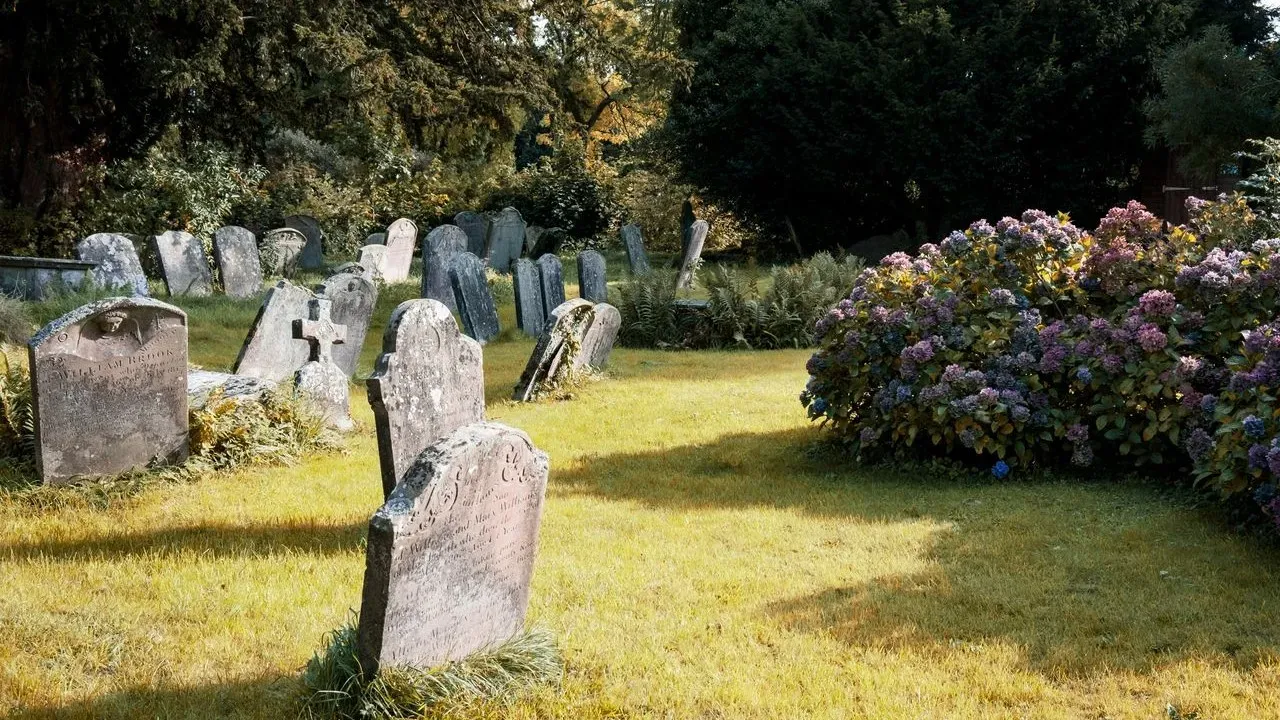 Dead Plants Expose Flawed Nursery Sales Pitches