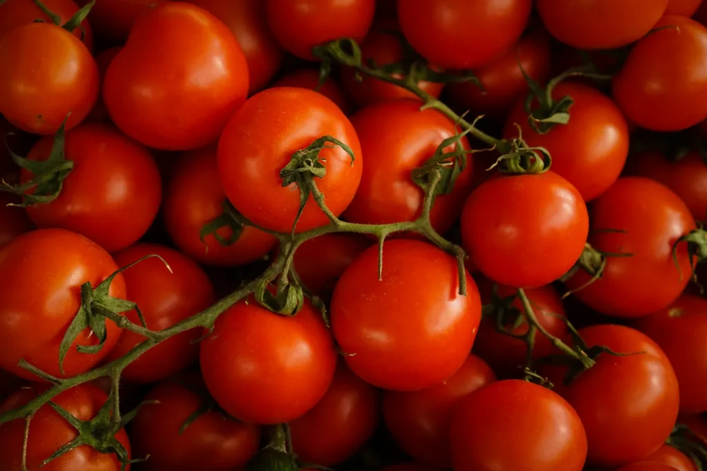 Never Refrigerate Homegrown Tomatoes - Featured image