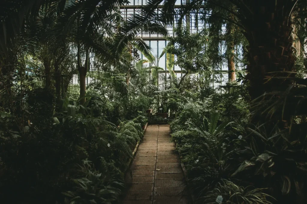 Escape to the Tropics at Denver Botanic Garden's Boettcher Memorial Conservatory - Featured image