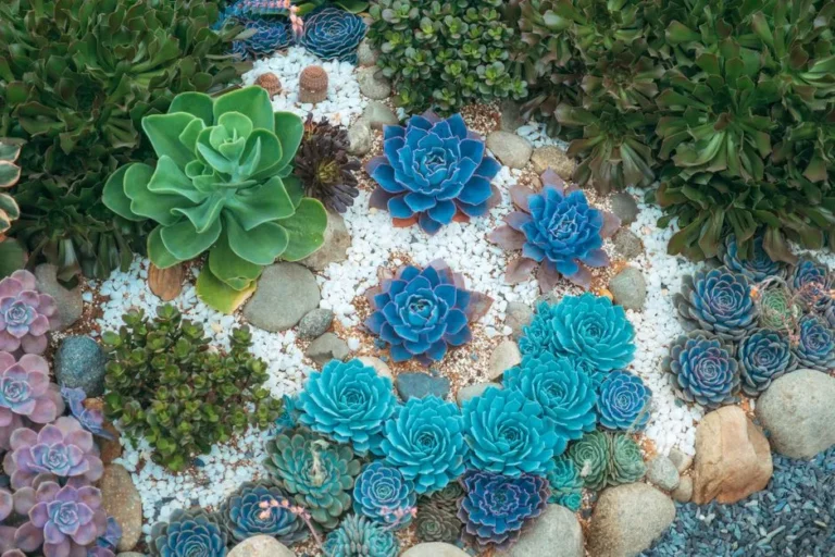 Want Your Anaheim Backyard to Truly Flourish? Plant These 5 Low-Maintenance Gems - Featured image