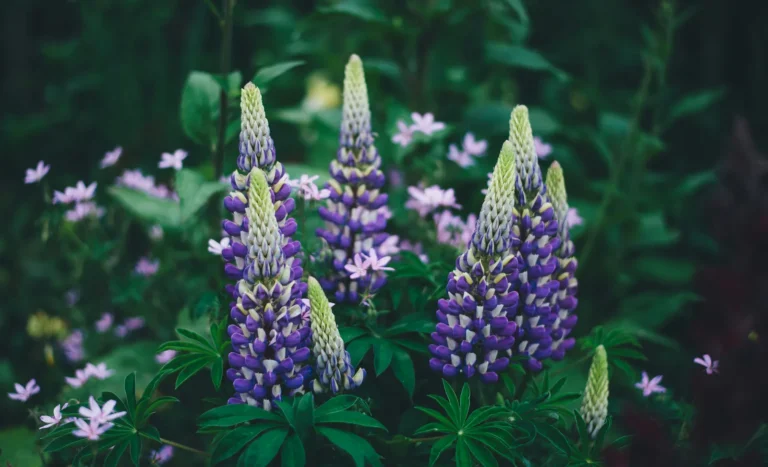 Trading Everyday Garden Staples for Native Perennials That Deliver Real Benefits - Featured image