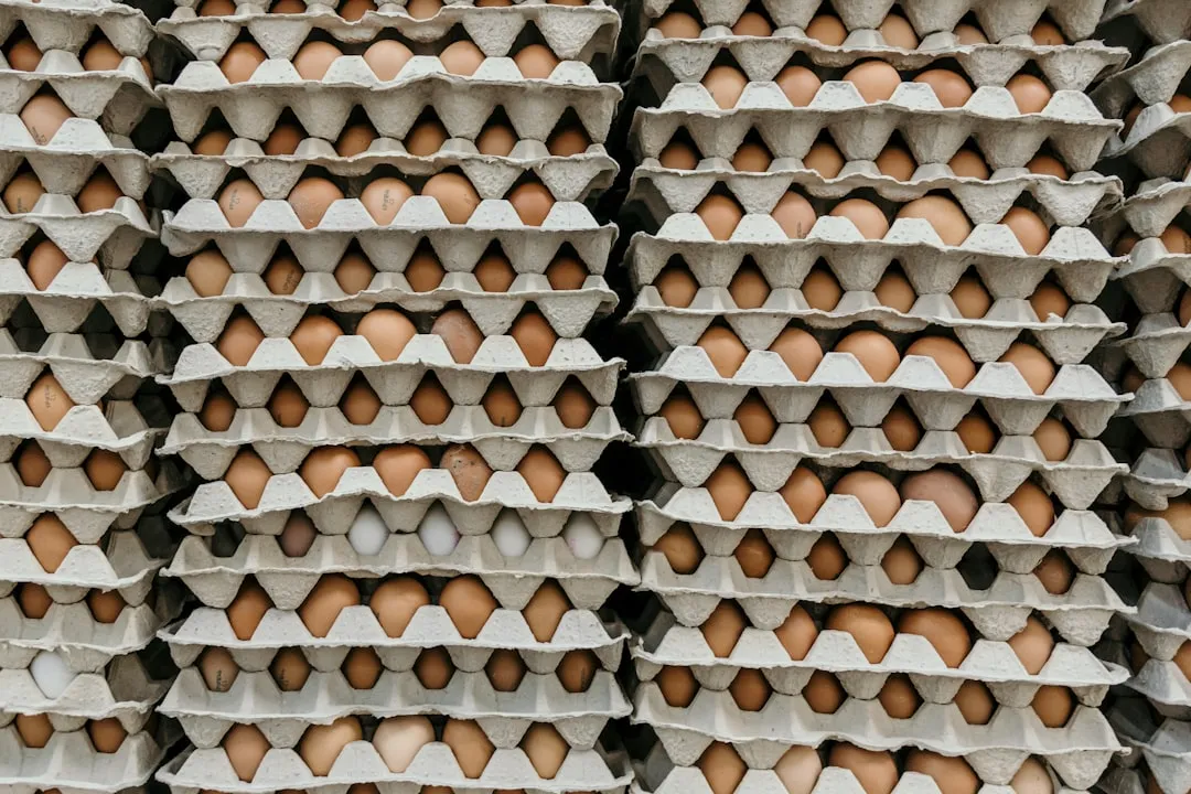 How to Turn Discarded Egg Cartons into the Perfect Seed-Starting Trays