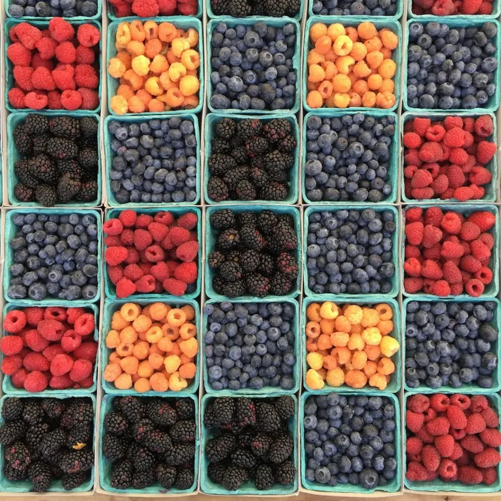 The Best Fruit Varieties to Grow in Pots on a Sunny Patio or Balcony - Featured image