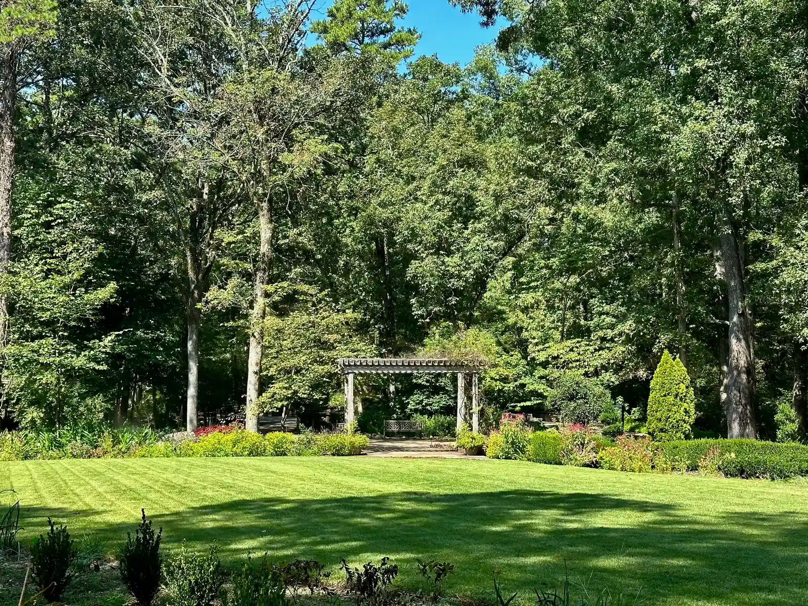 Layered Planting for Textured Woodland Gardens