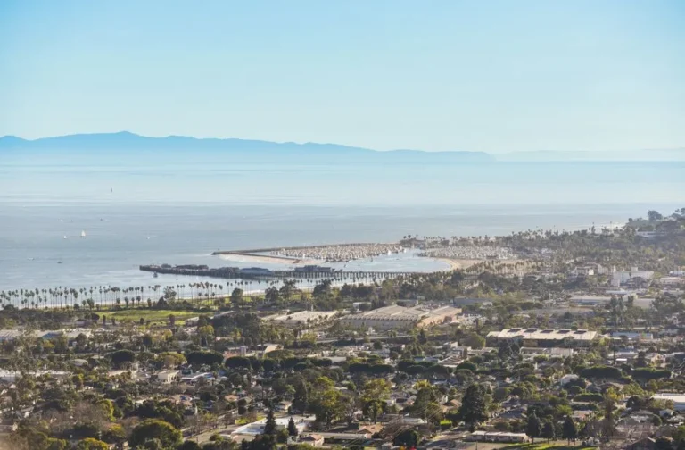 If You Want Your Santa Barbara Landscape to Flourish, Plant These 5 Mediterranean Classics - Featured image