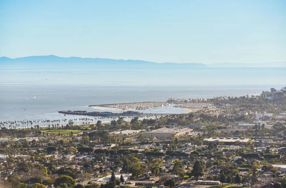 If You Want Your Santa Barbara Landscape to Flourish, Plant These 5 Mediterranean Classics - Featured image