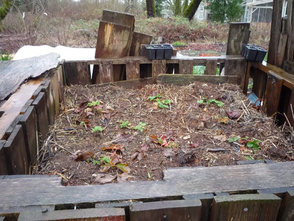 The Truth About "Compostable" Plastics: Can They Really Go in Your Backyard Pile? - Featured image