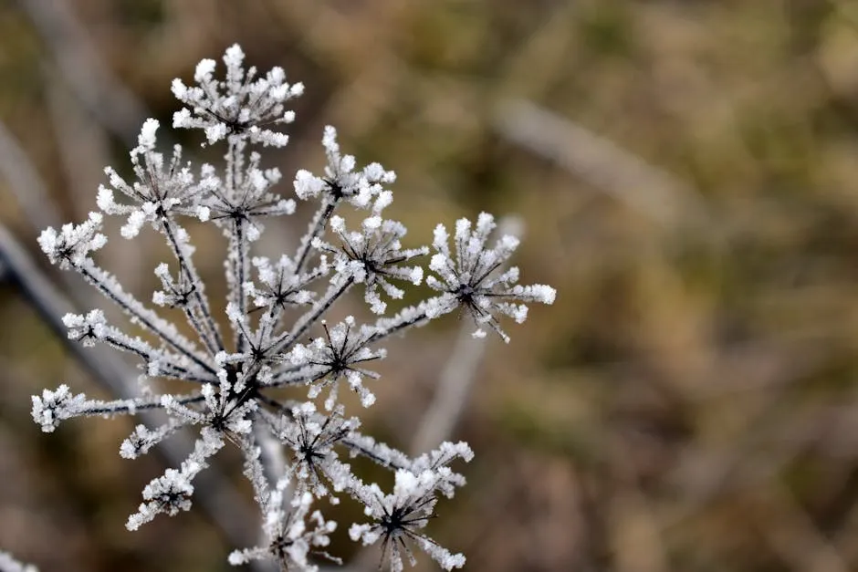 How Shifting Winter Weather Patterns Will Radically Impact Your Garden Layout This Year - Featured image