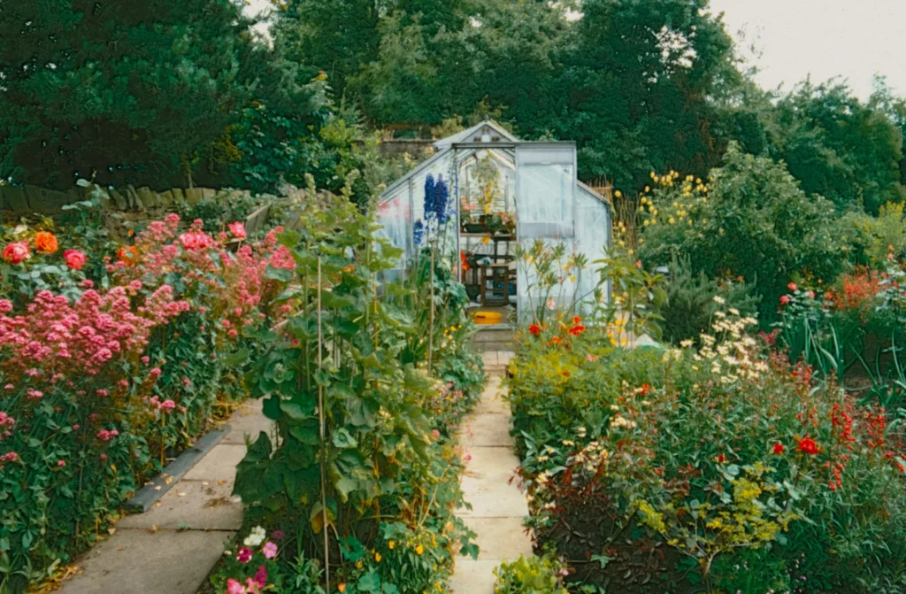 Blank Slate to Pennsylvania Cottage Garden: A Story of Transformation - Featured image