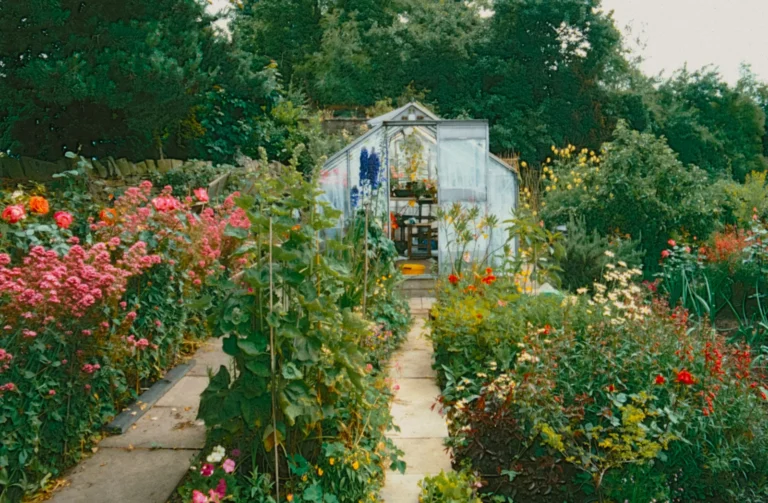 Blank Slate to Pennsylvania Cottage Garden: A Story of Transformation - Featured image