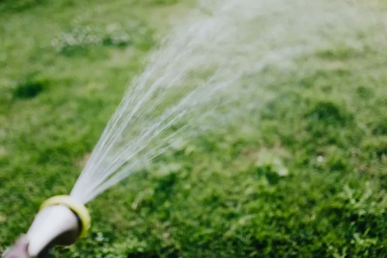 The Simple Greywater System That Can Cut Your Summer Water Bill in Half - Featured image