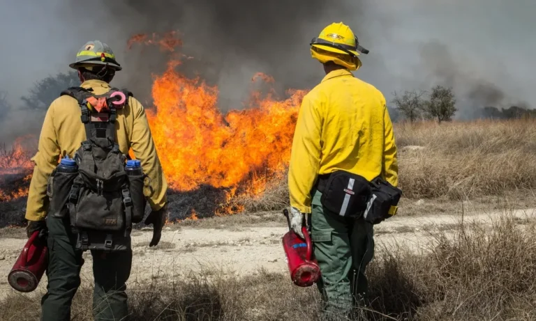 How Western Wildfire Smoke Is Affecting Air Quality Thousands of Miles Away - Featured image