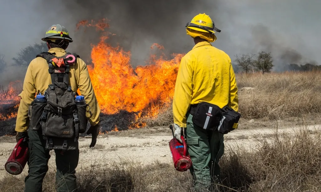 How Western Wildfire Smoke Is Affecting Air Quality Thousands of Miles Away - Featured image