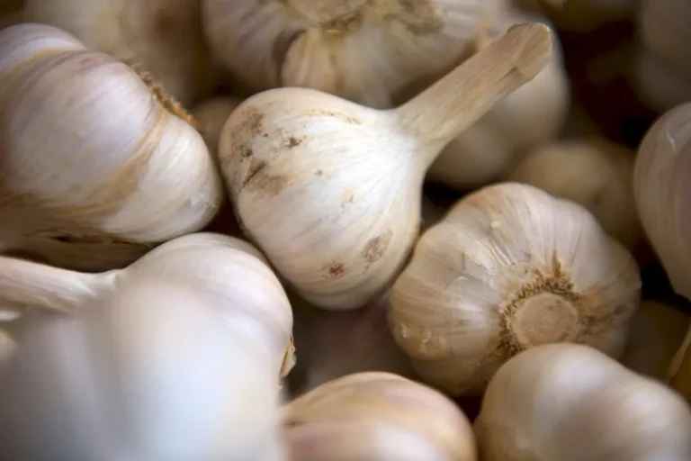 The Secret to Overwintering Garlic for an Extra-Early Summer Harvest - Featured image