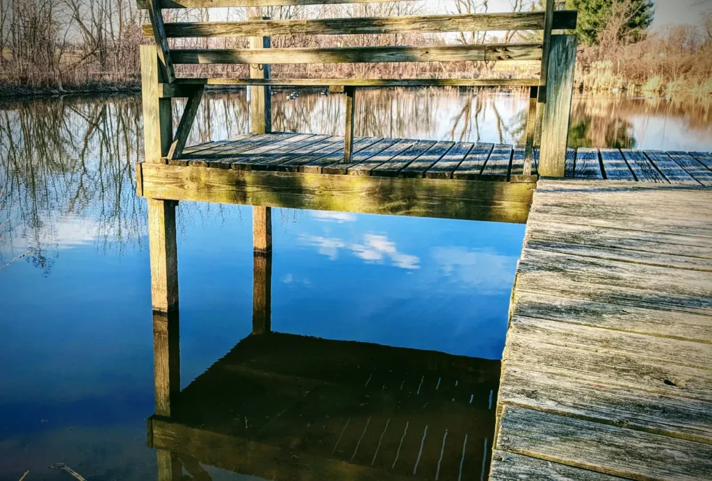 You Don't Need a Garden to Attract Wildlife — This Tiny Pond Does It in Days - Featured image