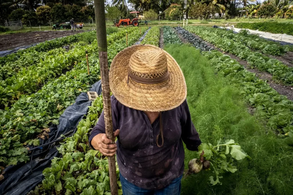 The Incredible History of the Victory Garden and Its Modern Resurgence - Featured image