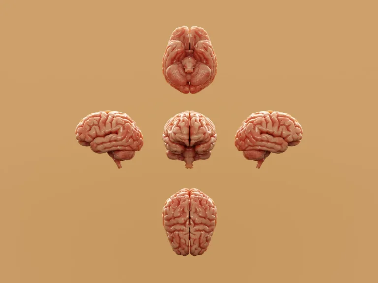 Clutter Taxes the Brain; Gardens Restore Focus - Featured image