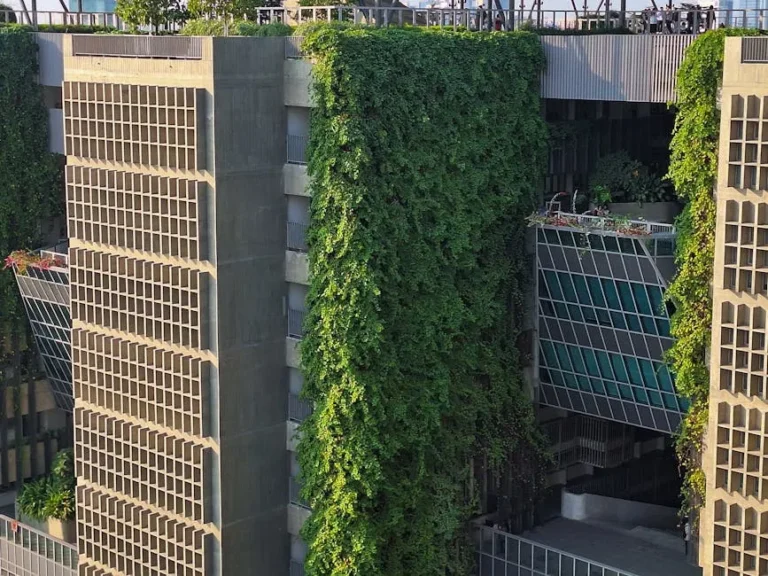 Green Infrastructure: How US Cities Are Using Plants to Combat Dangerous Urban Heat Islands - Featured image