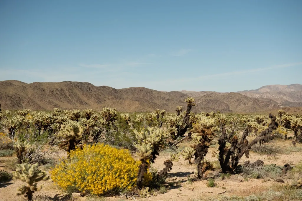 What Your Favorite Spiky Cactus Says About Your Personal Boundaries - Featured image