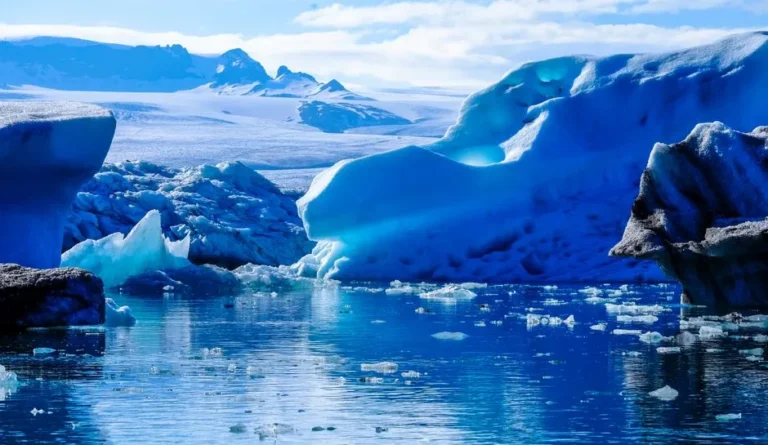 How Rising Water Temperatures Are Changing the Ecosystem of the Great Lakes - Featured image