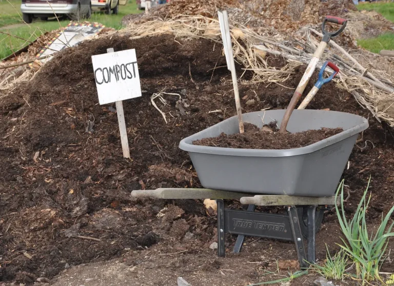 What the Color of Your Compost Leaves Says About Its Nutrient Balance - Featured image