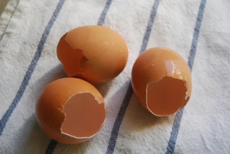 Why Expert Gardeners Are Intentionally Burying Raw Eggs in Their Tomato Beds This Month - Featured image