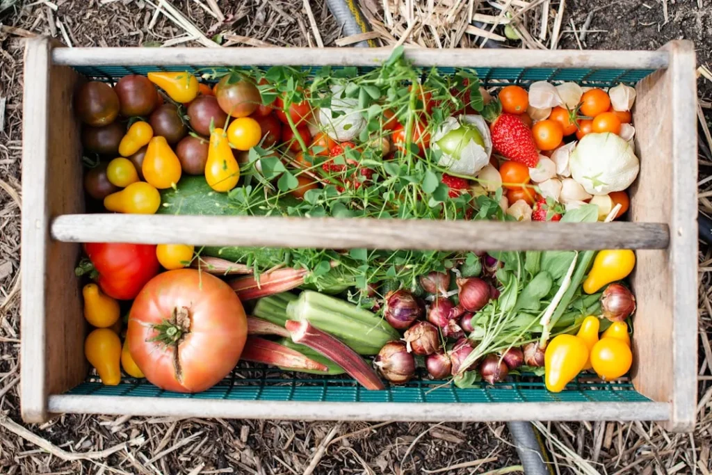 The Best Vegetables to Plant in Late Summer for a Bountiful Winter Harvest - Featured image