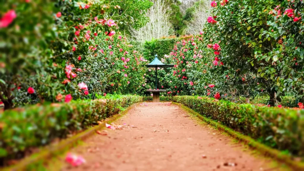 Blank Canvas Garden Fuels a Career Change - Featured image