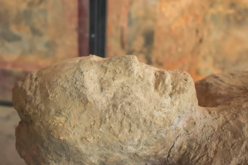 Iceman's Ancient Yeast Makes 'Very Good' Sourdough Bread - Featured image