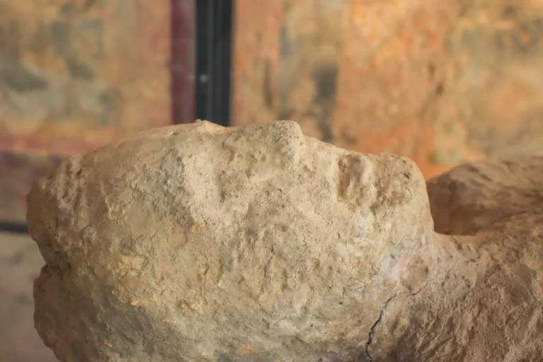Iceman's Ancient Yeast Makes 'Very Good' Sourdough Bread - Featured image
