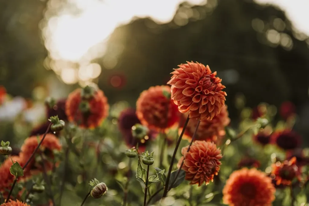 10 Easy Tasks to Add to Your Autumn Checklist for a Better Spring Garden - Featured image