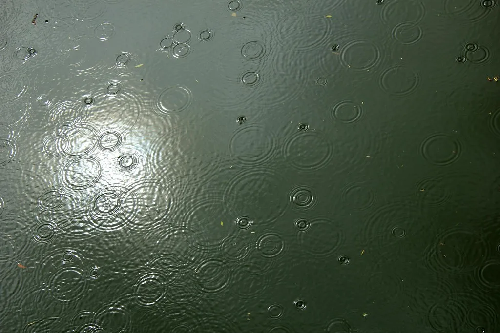 How to Properly Set Up a Rain Barrel System for Your Lawn and Garden - Featured image
