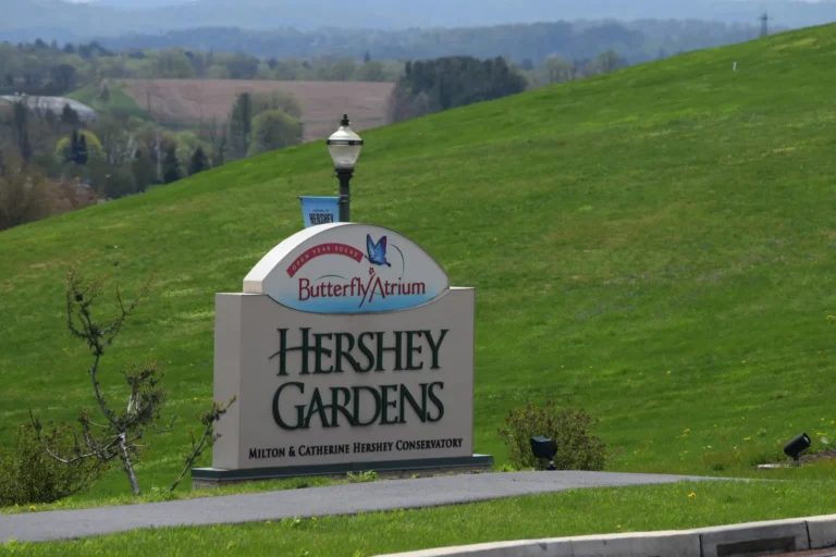 Baby Boomers and the Conventional American Garden Style: Tracing a Deeper History - Featured image