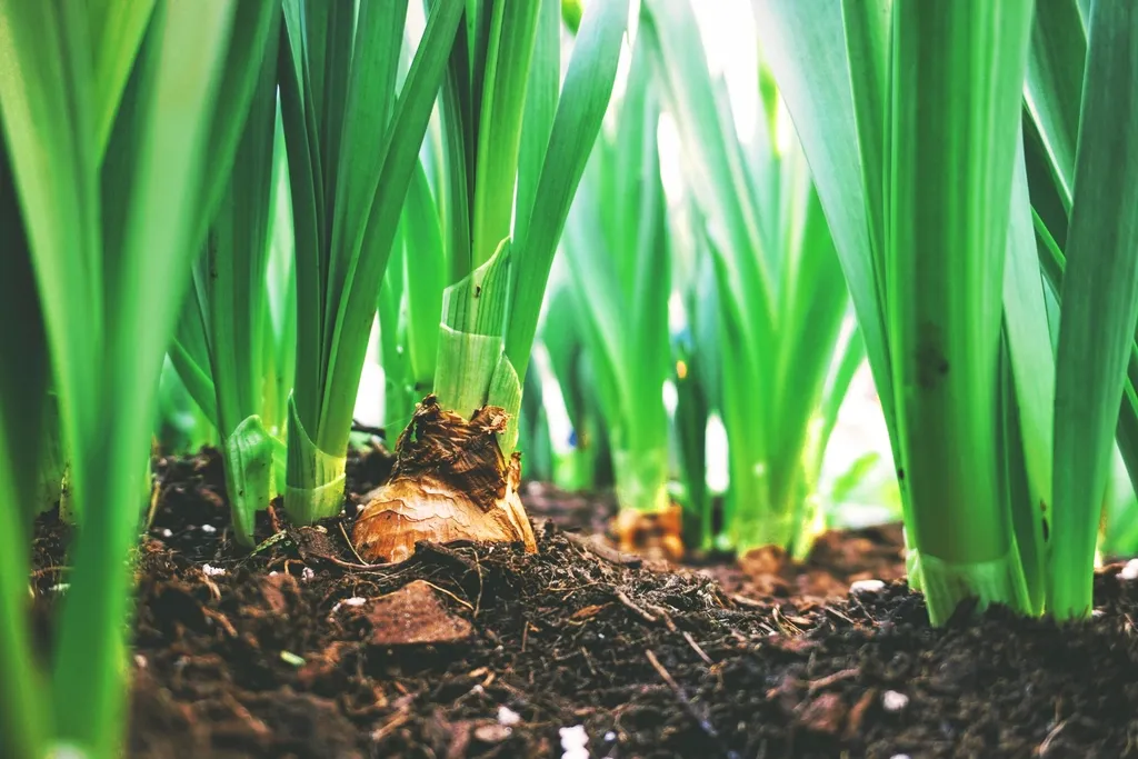 The Difference Between Hot and Cold Composting – And Which Is Right for You - Featured image