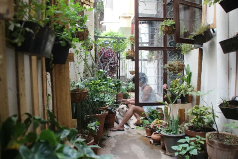 Tiny Gardens Everywhere: The Book That Shows Why Small Plots Carry Big Weight - Featured image