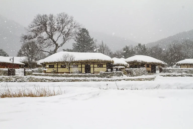 How Heavy Snowfall Acts as a Natural, Insulating Blanket for Perennial Roots - Featured image
