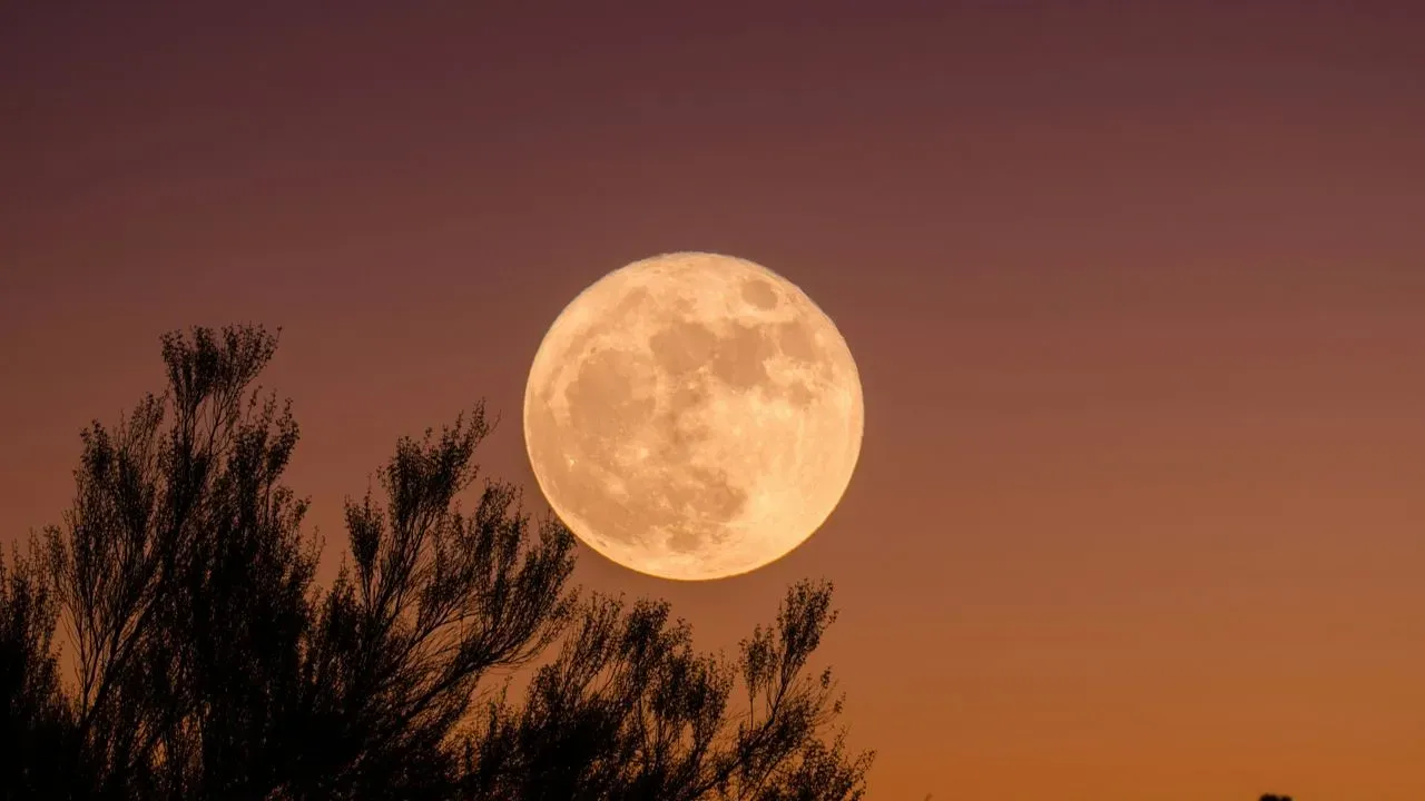 The Strawberry Moon Rises Tonight as Summer’s First Full Moon on Its Lowest Path of the Year