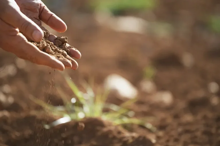 The Simple "Chop and Drop" Pruning Method That Feeds Your Soil Automatically - Featured image