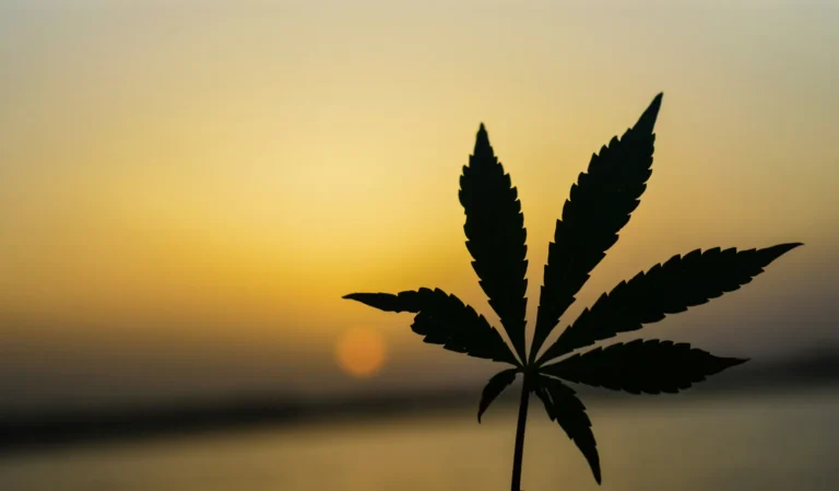 November Ban on Hemp-Derived Intoxicants Nears as Industry Appeals to Congress - Featured image