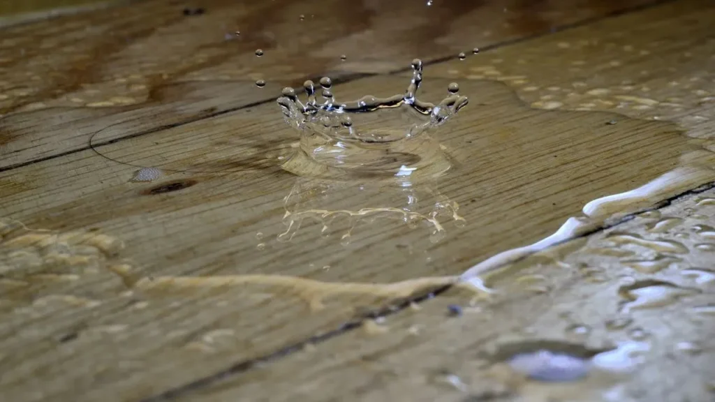 The Hidden Yard Mistakes That Are Quietly Flooding American Homes - Featured image