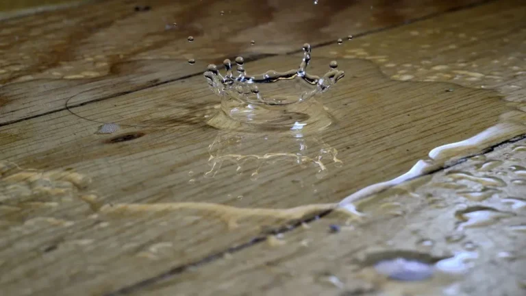 The Hidden Yard Mistakes That Are Quietly Flooding American Homes - Featured image